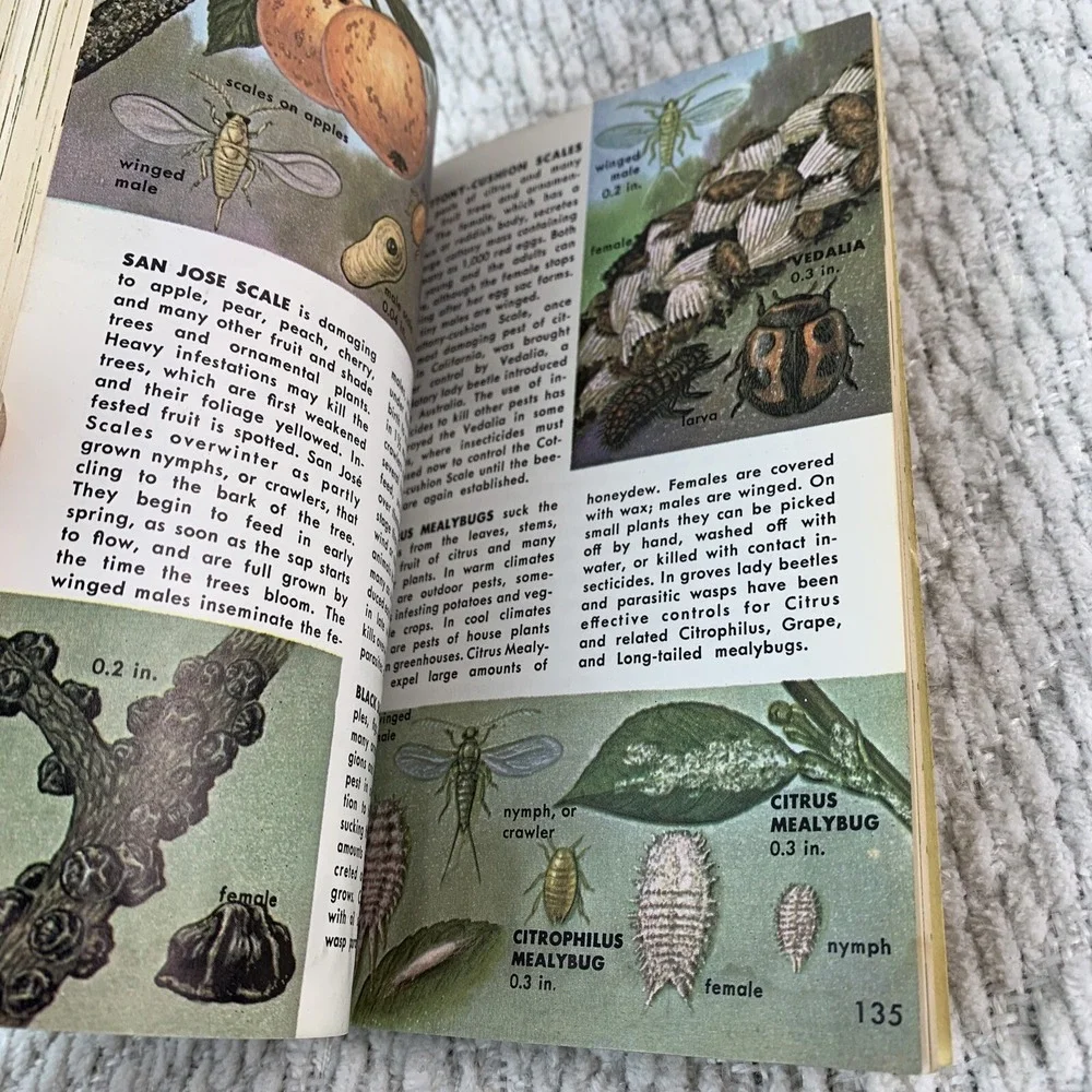 1966 A Golden Nature Guide INSECT PESTS by Herbert Zimm Home Garden Field Forest - Picture 15 of 16